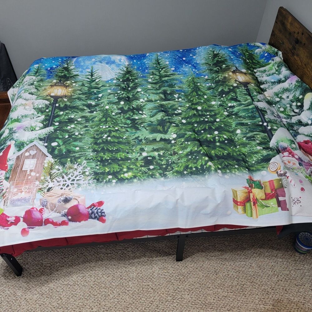 Winter Photo Backdrop 8'x6'